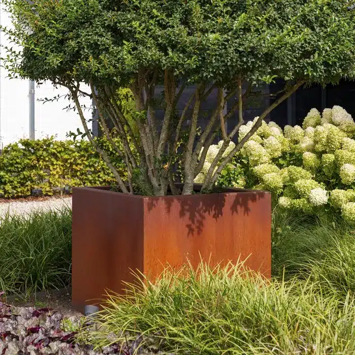 CARREZ Pflanzkübel aus Cortenstahl mit Boden – Bild 4