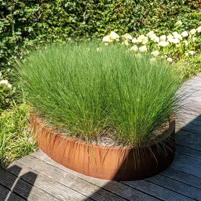 ELLIPSE Pflanzkübel Cortenstahl Oberfläche